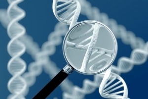 В США одобрен первый рутинный генетический тест для оценки риска наследственных заболеваний 