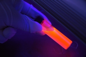 Ученые проектируют инсулин-продуцирующие клетки, активируемые светом